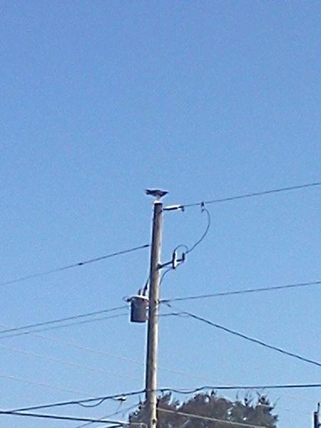 photo_715262215191053